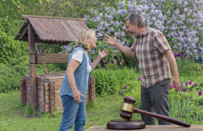 Коли сусід перекрив доступ до криниці на своїй ділянці: Верховний Суд вказав на правильний юридичний інструмент