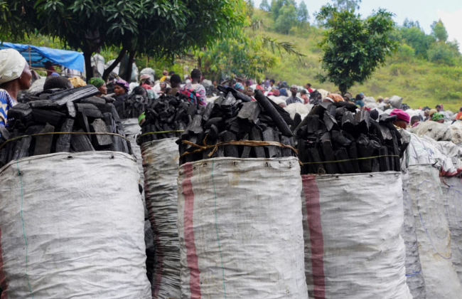 В Африке контрабандисты организовали фальшивые похороны, чтобы перевезти 30 мешков угля в катафалке