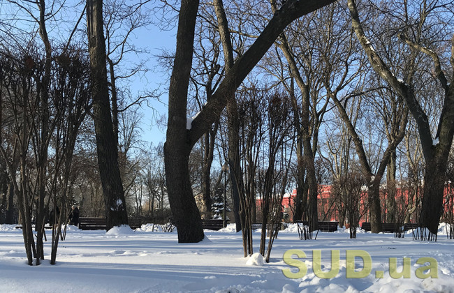 Погода в Украине 18 февраля: циклон принесет снег, гололед и ветер — когда потеплеет