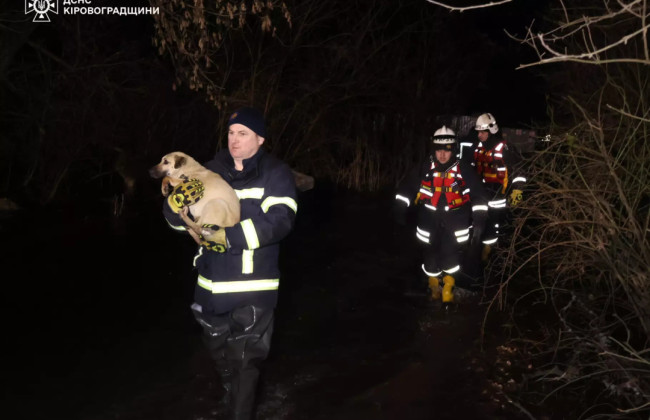 Затоплення притулку в Кропивницькому: сотні тварин рятують через розлив річки, фото