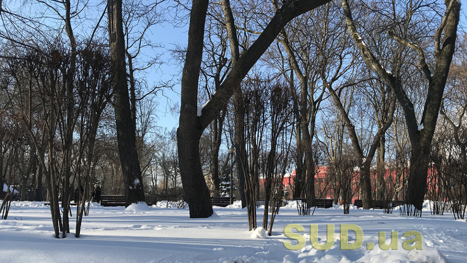 Погода в Украине 18 февраля: циклон принесет снег, гололед и ветер — когда потеплеет