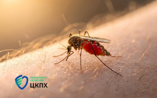 В Львовскую область две туристки привезли из Занзибара тропическую малярию