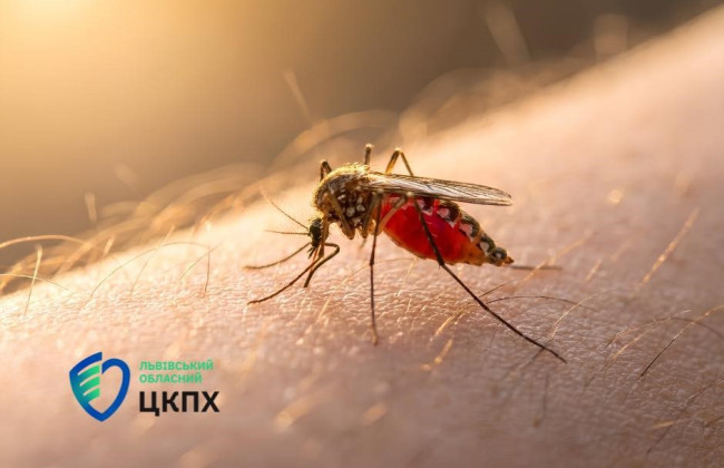 В Львовскую область две туристки привезли из Занзибара тропическую малярию