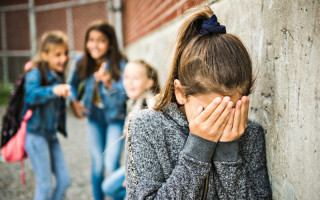 Комитет поддержал законопроект об усилении ответственности за буллинг