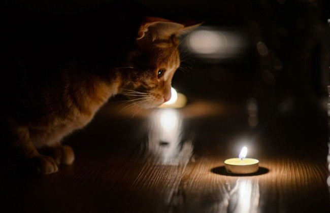 Нет света не по графику – в 5 областях проведут внеплановые проверки электропоставщиков