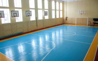 В Україні планують створити спеціалізовані спортивні класи у школах – у Раді підтримали ініціативу Кабміну