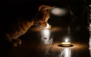 Нет света не по графику – в 5 областях проведут внеплановые проверки электропоставщиков