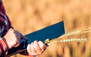 Государственный аграрный реестр перешел в полную собственность государства