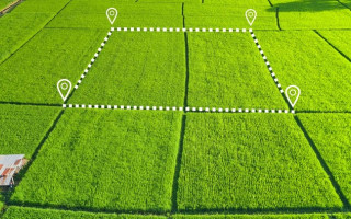 В Ивано-Франковской области будут судить женщину, которая дважды продала один и тот же земельный участок