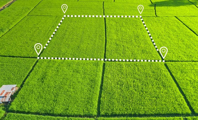 В Ивано-Франковской области будут судить женщину, которая дважды продала один и тот же земельный участок