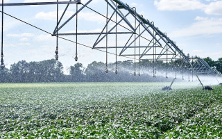 Рада прийняла закон, який запускає другий етап реформи меліорації: що зміниться для агросектору