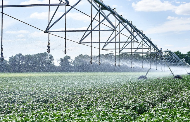 Рада приняла закон, который запускает второй этап реформы мелиорации: что изменится для агросектора