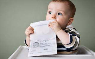 Заграничный паспорт для ребенка: могут ли родители поручить другому лицу забрать документ