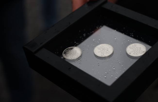 Національний банк ввів в обіг три нові обігові номіналом 10 гривень: фото