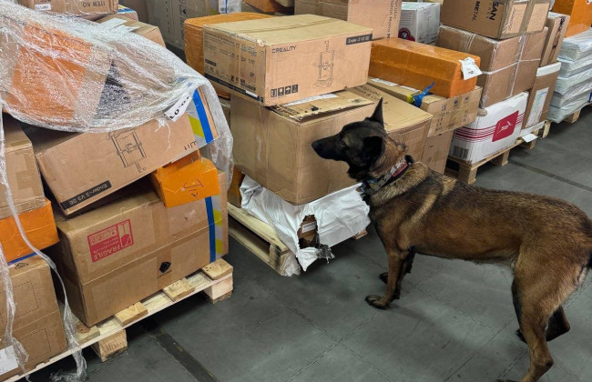 Сухофрукти із «сюрпризом» – на митниці вівчарка винюхала контрабанду канабісу