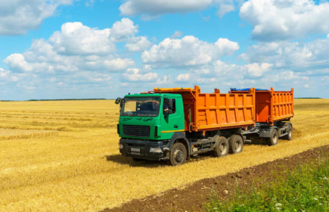 Украденное зерно: ВАКС о масштабных злоупотреблениях на полях Черниговщины