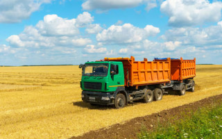 Украденное зерно: ВАКС о масштабных злоупотреблениях на полях Черниговщины