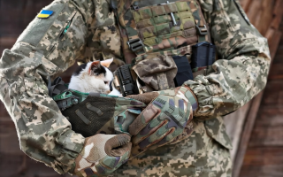 Зарахування військових у розпорядження після розформування частини або скорочення посад — огляд практики КАС ВС