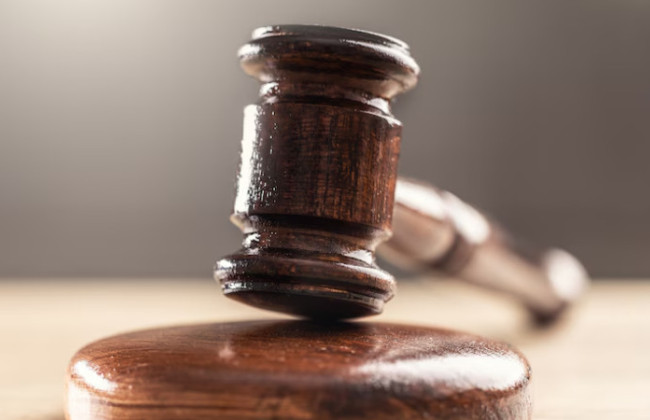 В США женщине присудили $5,4 млн после нападения собаки в приюте для животных