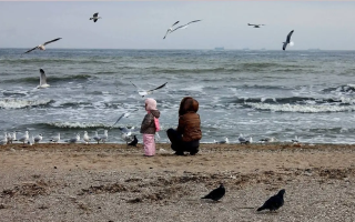 В Украину идет потепление: прогноз погоды на последний день зимы