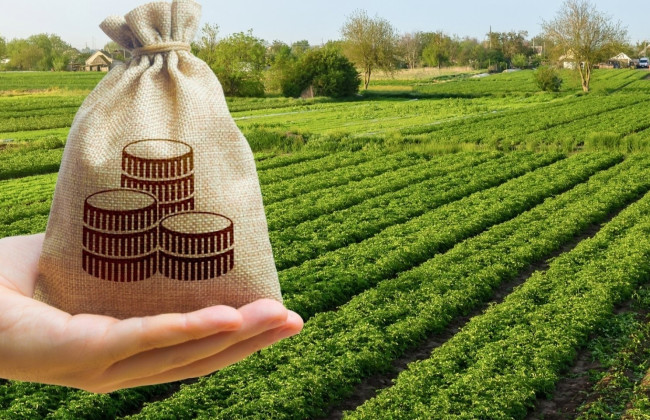 Як сплатити земельний податок через мобільний застосунок банку – пояснили в ДПС