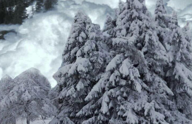 У Карпатах на горі Менчул відбулося сходження лавини