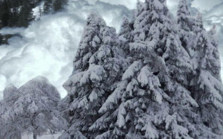 В Карпатах на горе Менчул произошло сходжение лавины