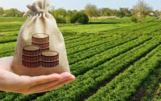 Как уплатить земельный налог через мобильное приложение банка – объяснили в ГНС