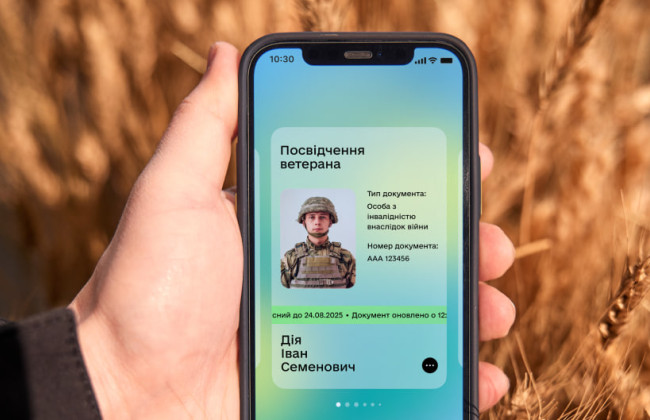 Минветеранов предлагает новый механизм надзора и штрафы за неправомерное предоставление статуса ветерана