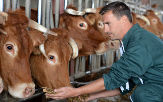 Закон о ветеринарной медицине: новые правила регистрации и розничной торговли препаратами, ограничения и ответственность для агробизнеса