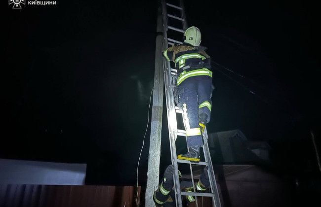 На Київщині провели спецоперацію з порятунку кота: фото