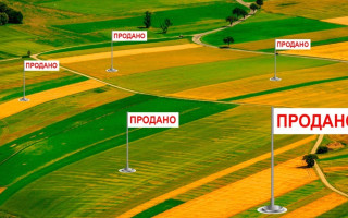 Понад 64 тисяч грн за гектар – українська земля за 5 років зросла в ціні на 96%