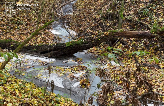 В Хмельницкой области будут судить руководительницу молокоперерабатывающего предприятия за загрязнение воды на 14 млн грн