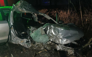 На Столичном шоссе в Киеве водитель «припарковался» в дерево