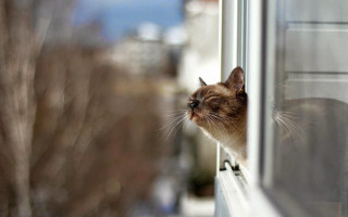 Синоптики прогнозируют потепление – какая будет погода на выходных