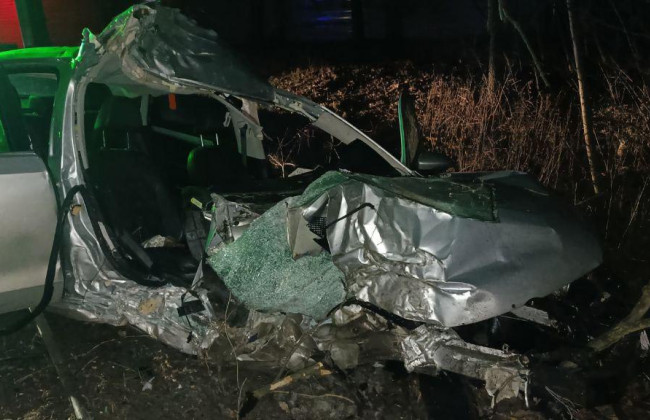 На Столичном шоссе в Киеве водитель «припарковался» в дерево