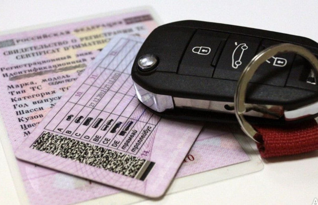 Як отримати категорію D: у МВС пояснили вимоги для водіїв автобусів