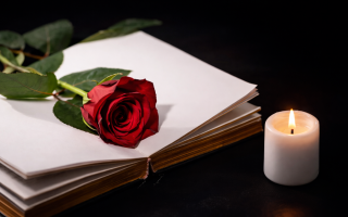 Шотландия разрешила новую альтернативу захоронению — «водную кремацию»