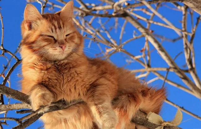 Потепління вже на порозі – якою буде погода напочатку тижня