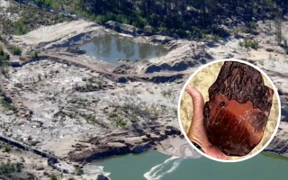 Поехал за янтарем — вернулся со штрафом: как суд на Ровенщине наказал старателя с мотопомпой