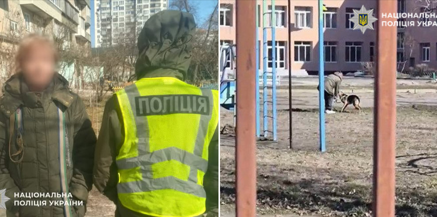 В Киеве наказали женщину, которая била свою собаку посреди улицы