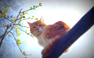 До +18 и без осадков: какой будет погода в Украине и когда придет похолодание