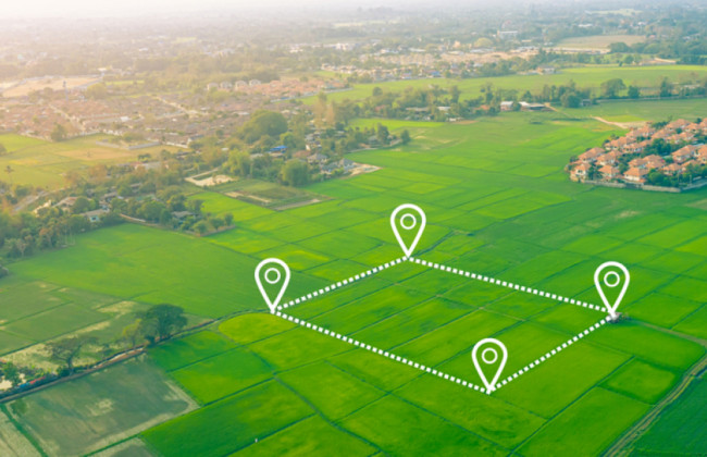 Як розраховується орендна плата за державну та комунальну землю — роз’яснення