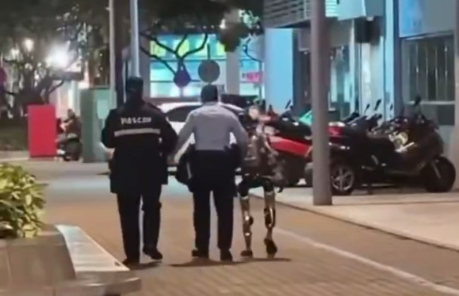 В Китае полиция «задержала» гуманоидного робота, который напугал женщину — видео