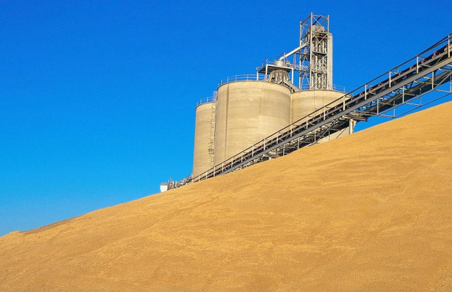 Суд в Одессе признал недействительными договоры на поставку зерна между компаниями на 111 млн грн из-за фиктивных операций