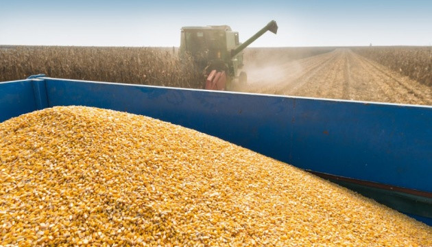 Підписи директора виконані іншою особою: суд визнав недійсними договори поставки зерна