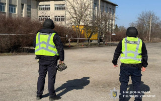 В лицее на Тернопольщине на территории лицея обнаружили макет боевой гранаты