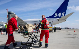 Лікування за кордоном та нові гарантії для пацієнтів: МОЗ оприлюднило законопроєкт