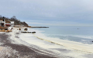 Побережье Одессы в пятнах – экологическая инспекция выявила загрязнение Черного моря маслами и жирами