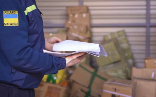 Таможенный контроль без штрафов: когда выбирать «зеленый», а когда «красный» коридор